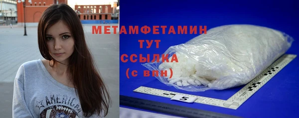дживик Няндома