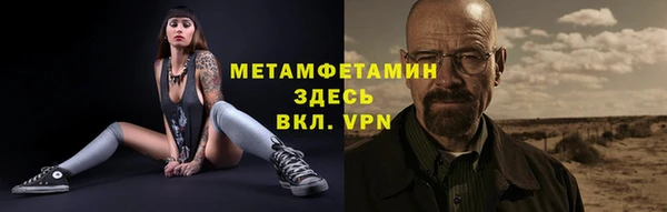 дживик Няндома